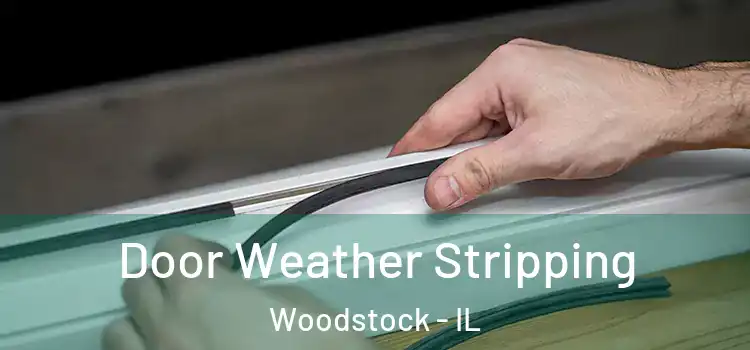 Door Weather Stripping Woodstock - IL