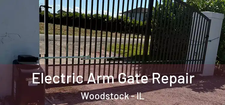 Electric Arm Gate Repair Woodstock - IL