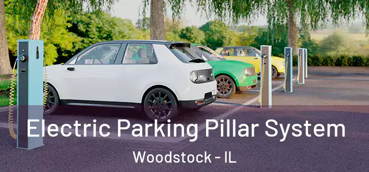 Electric Parking Pillar System Woodstock - IL