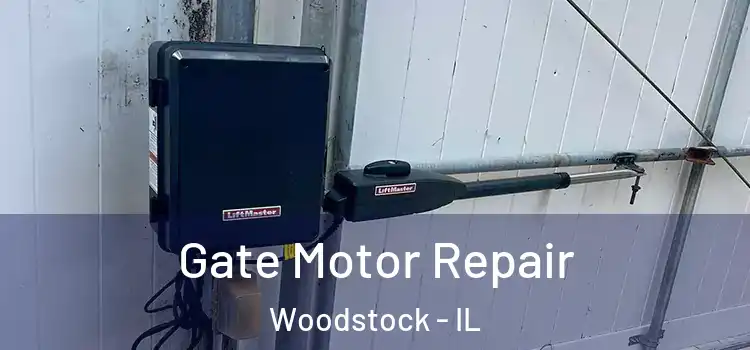 Gate Motor Repair Woodstock - IL