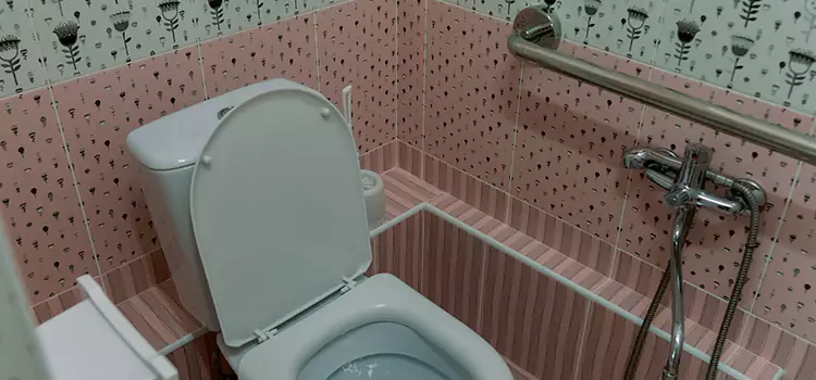 Meeting Diverse Needs With Accessible Restroom Solutions in Woodstock, IL